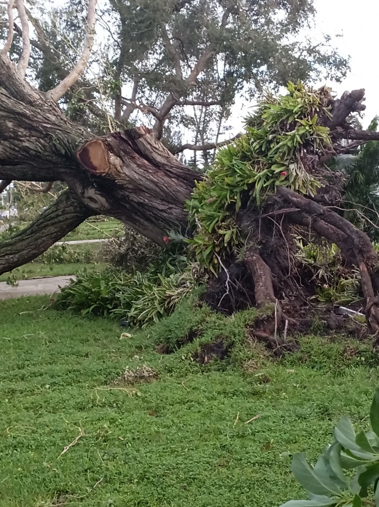 During Hurricane