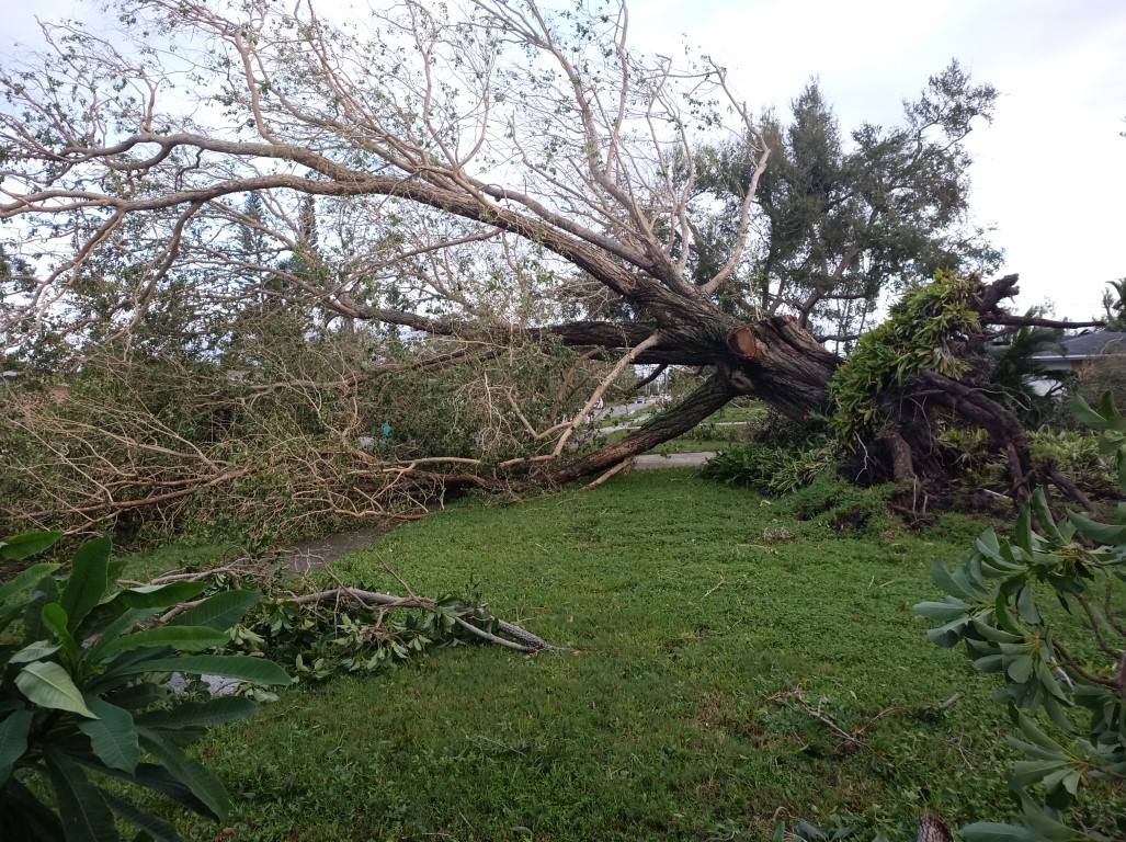 During Hurricane
