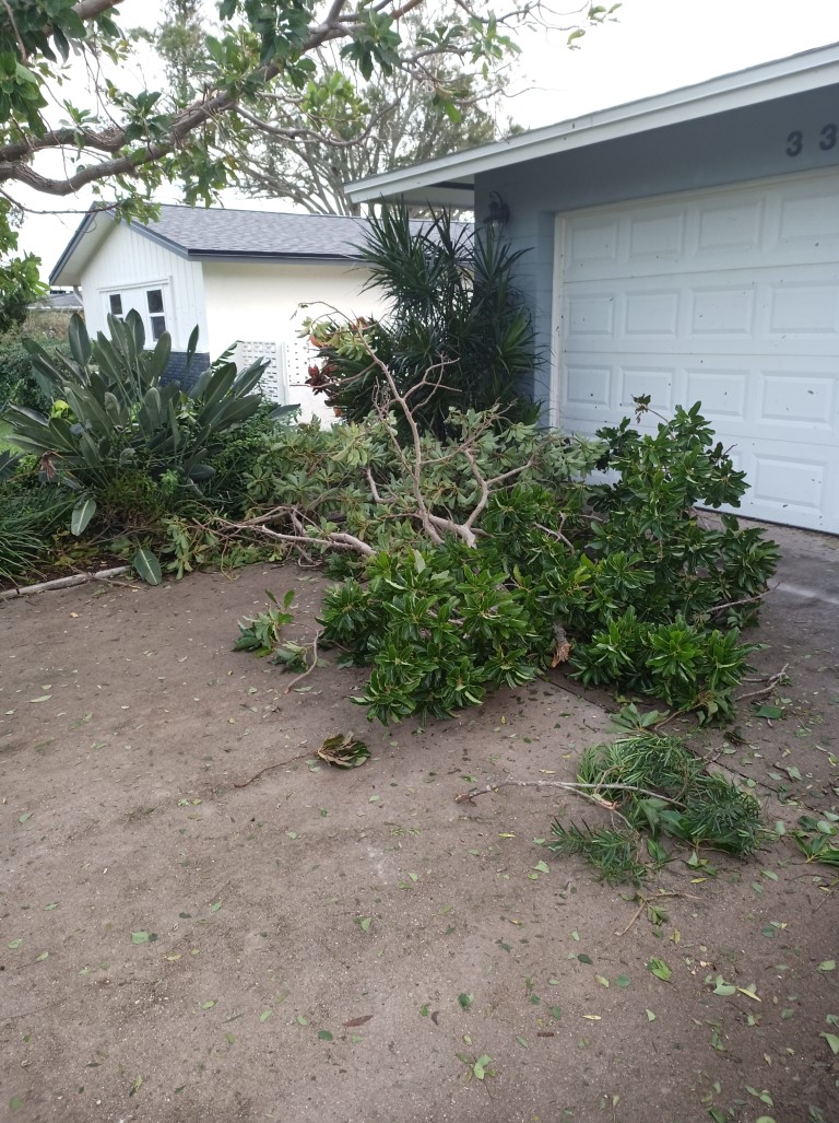 During Hurricane