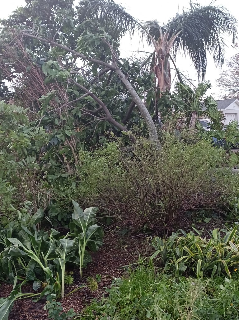 During Hurricane