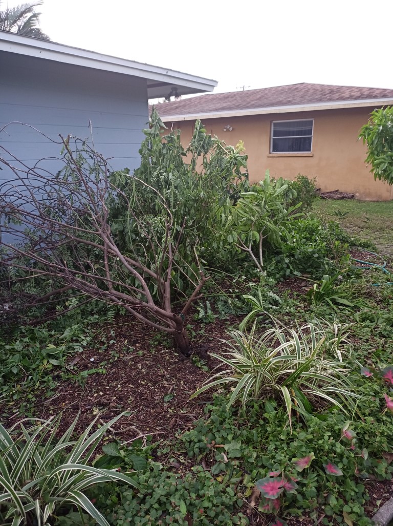 During Hurricane