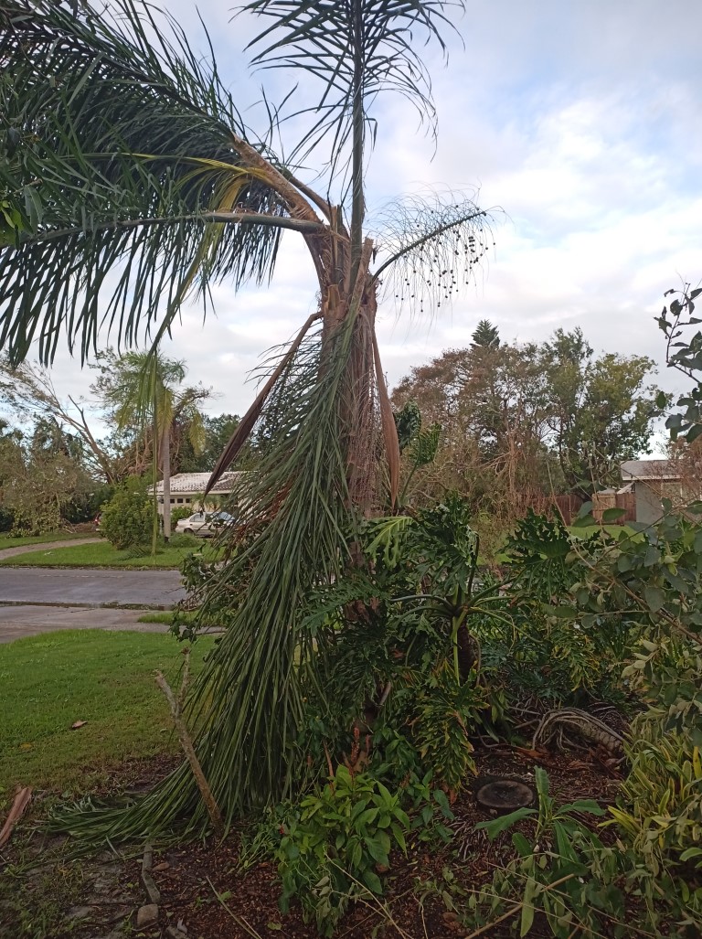 During Hurricane