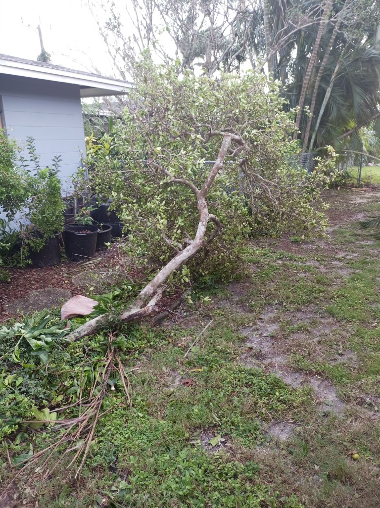 During Hurricane