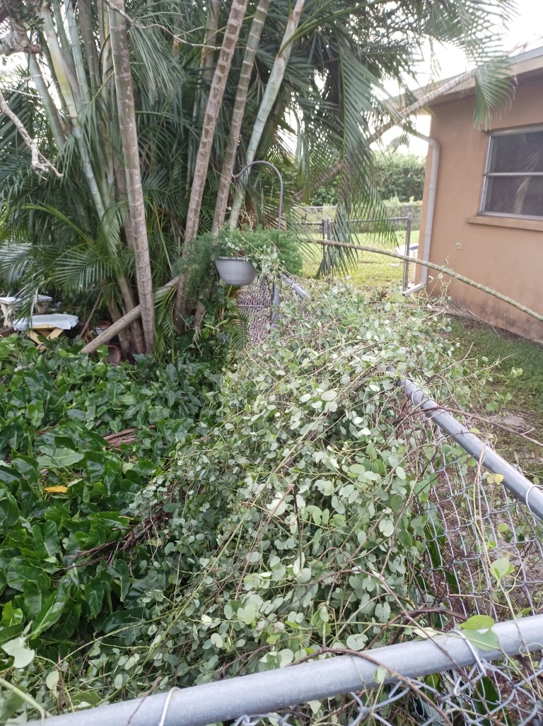 During Hurricane