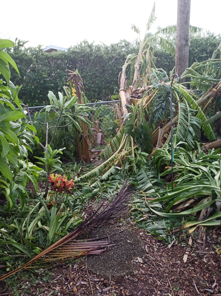 During Hurricane