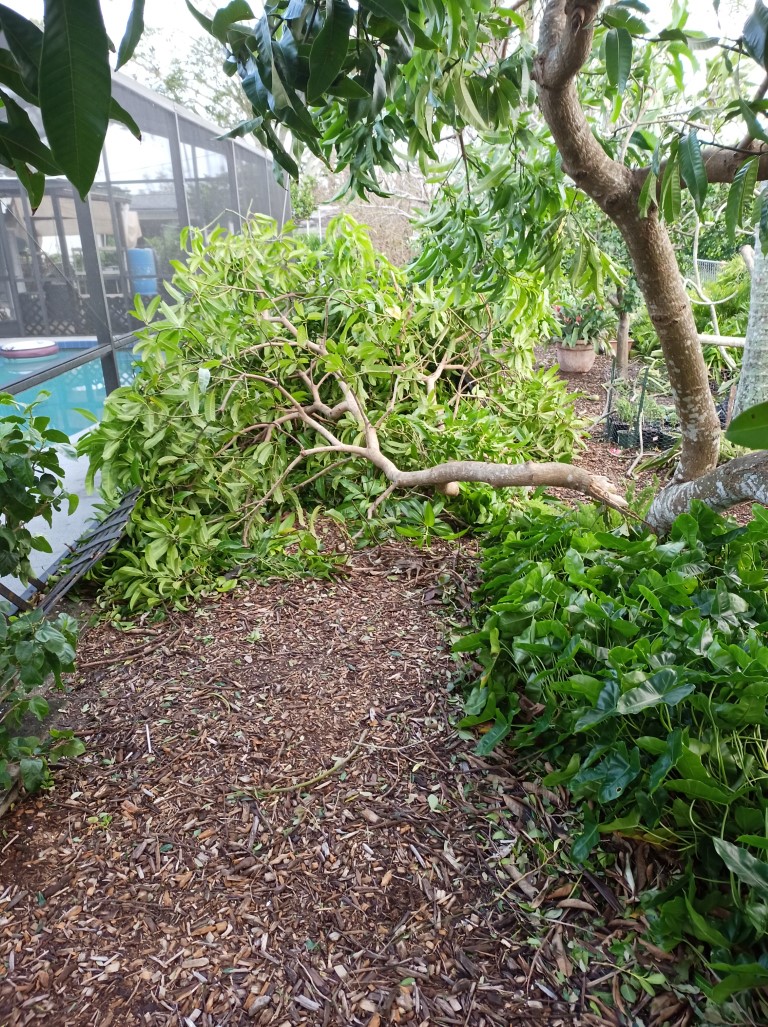 During Hurricane