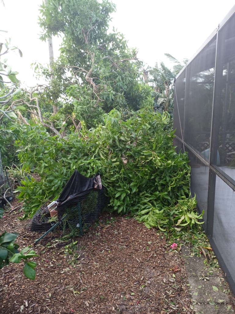 During Hurricane
