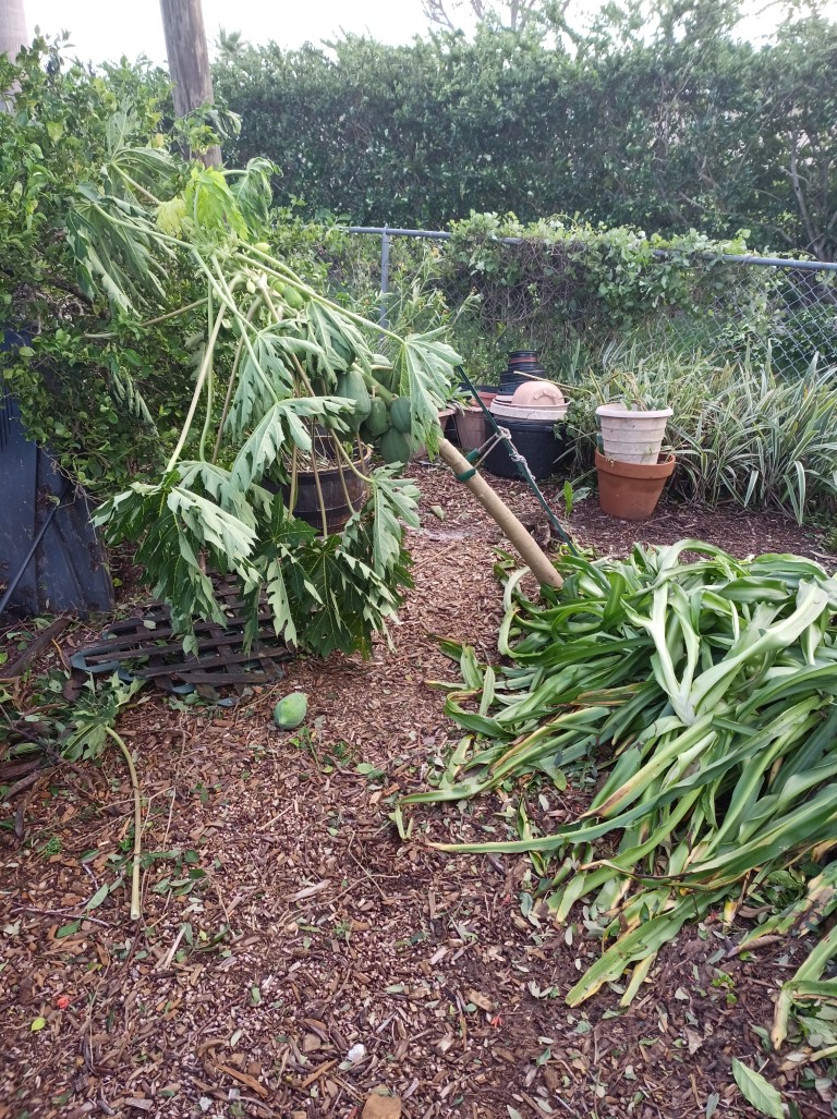 During Hurricane