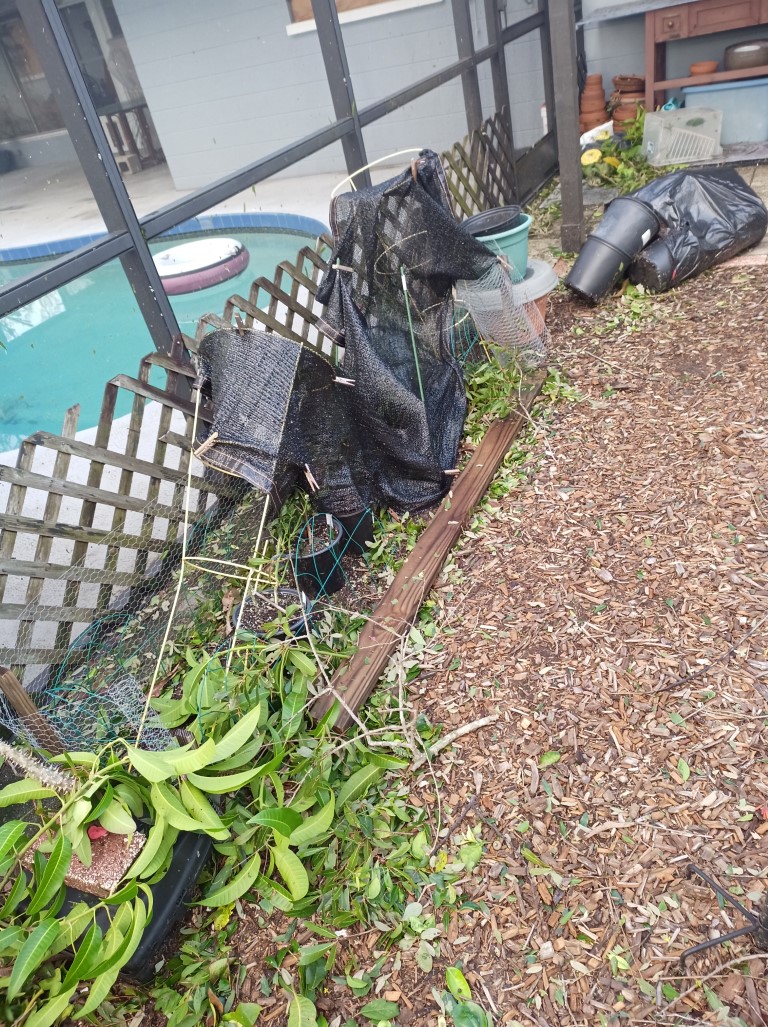 During Hurricane