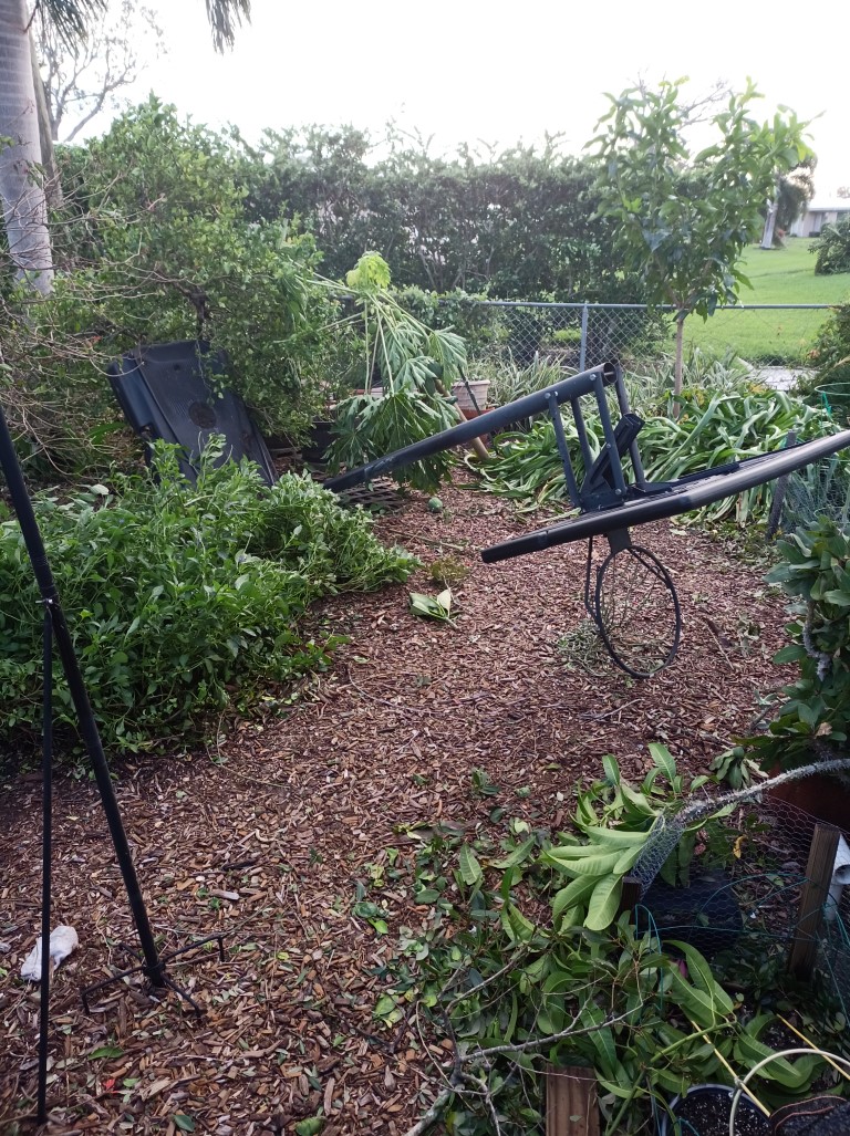 During Hurricane
