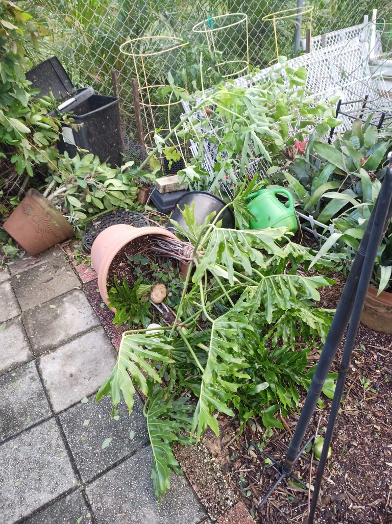 During Hurricane