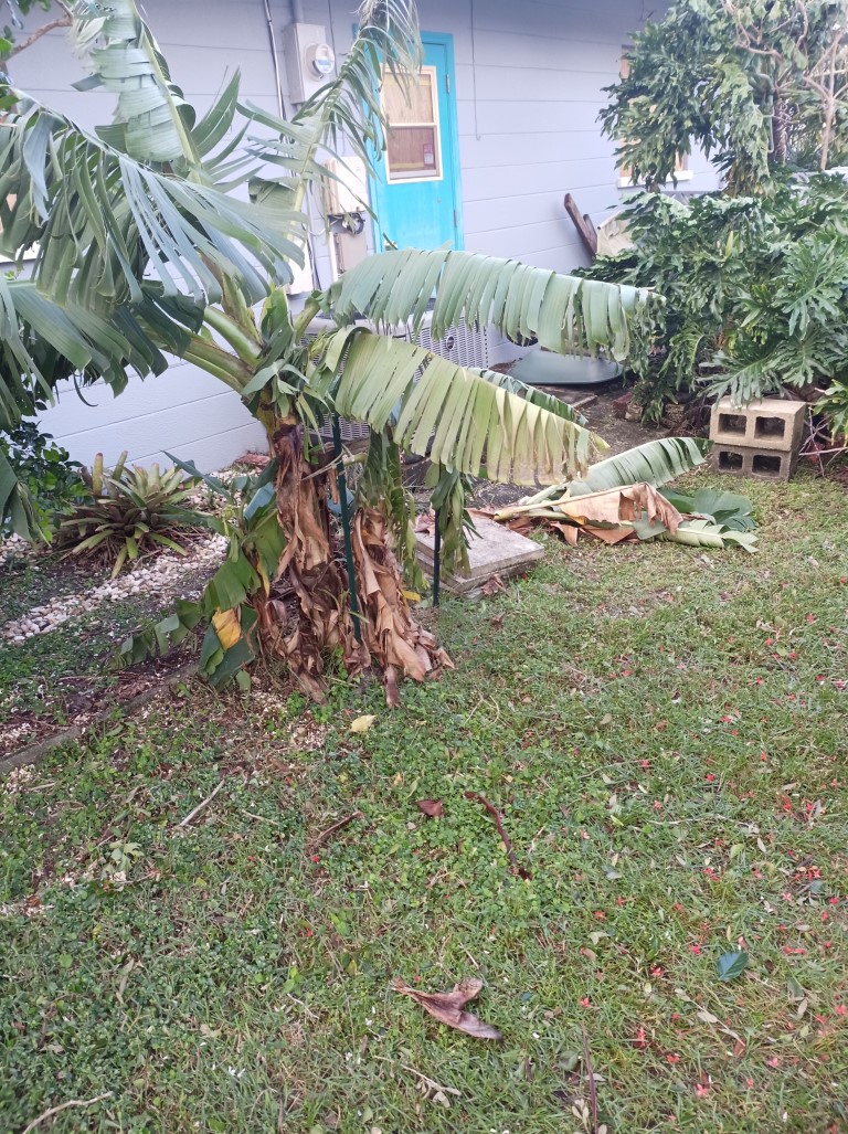 During Hurricane