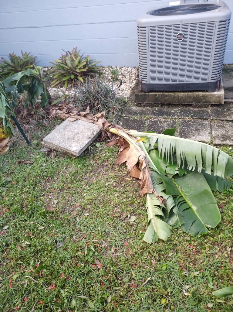 During Hurricane