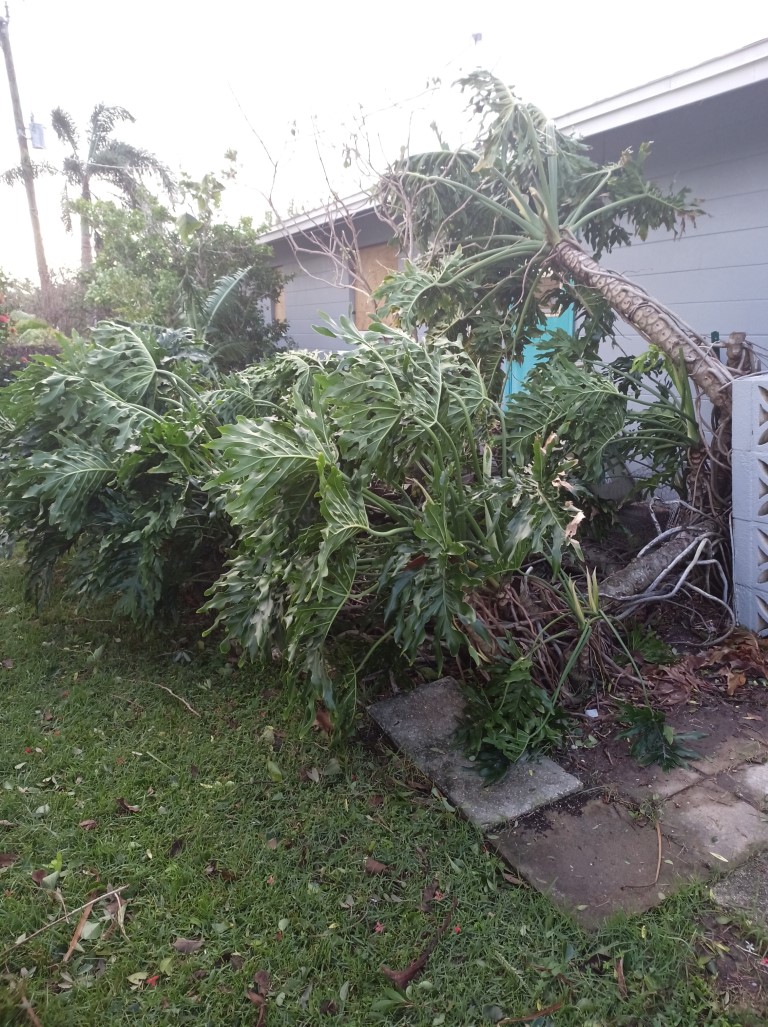 During Hurricane