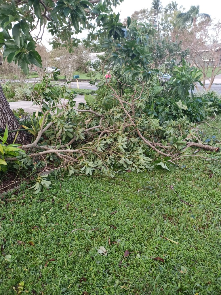 During Hurricane