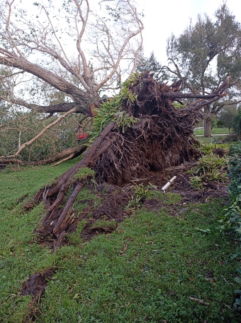 During Hurricane