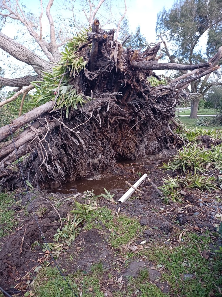 During Hurricane