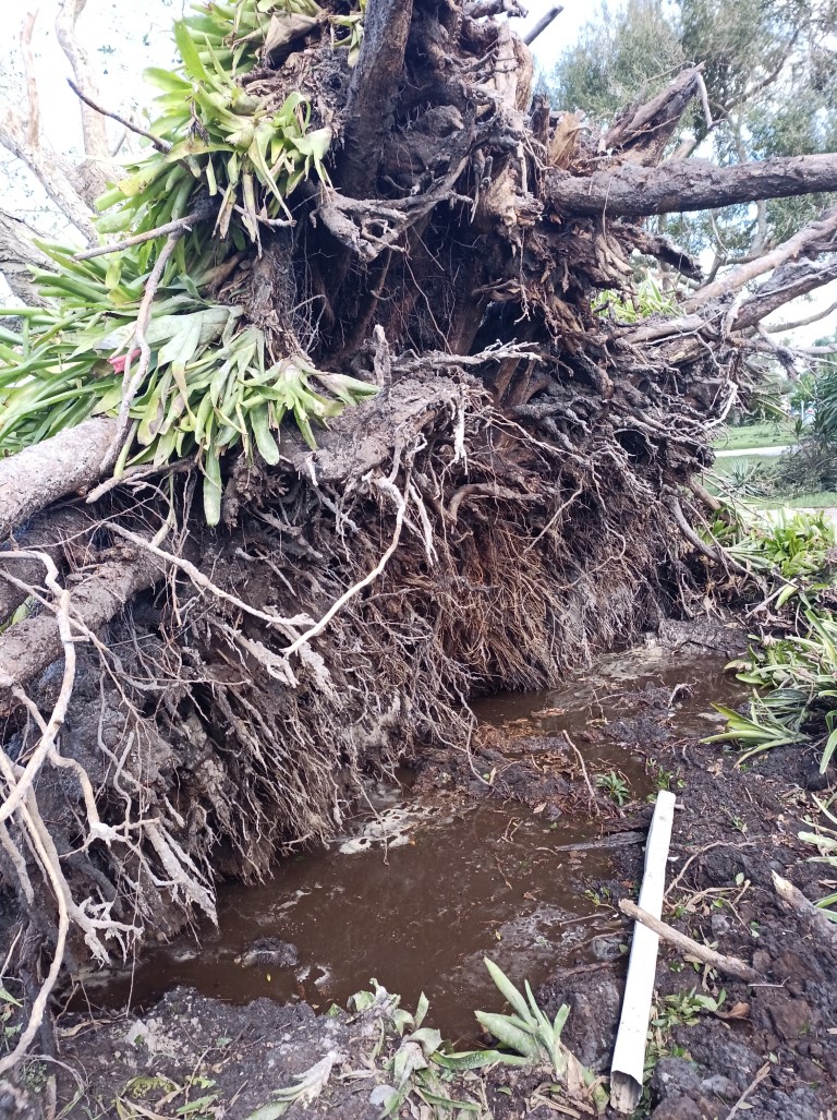 During Hurricane