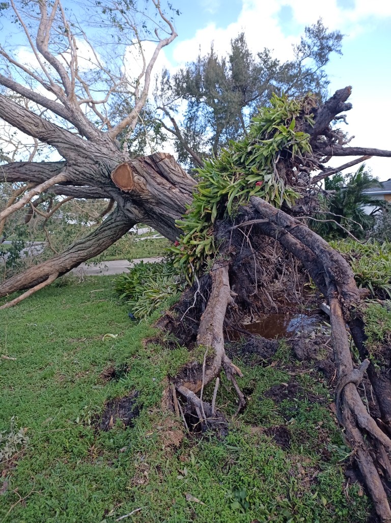 During Hurricane
