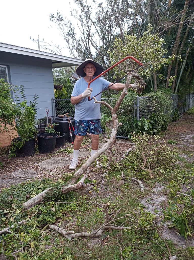 During Hurricane
