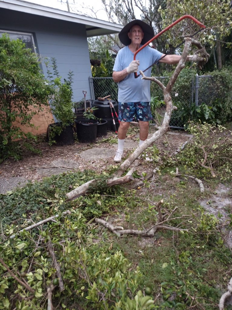 During Hurricane