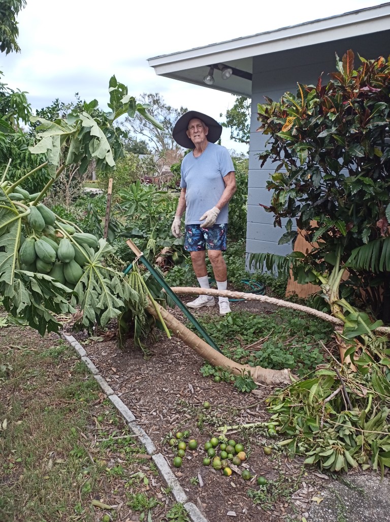 During Hurricane