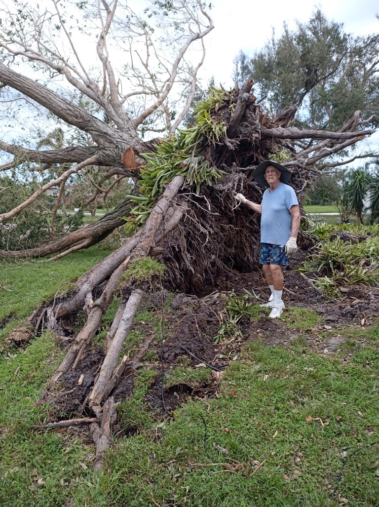 During Hurricane