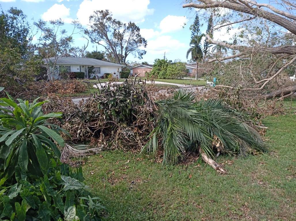 During Hurricane