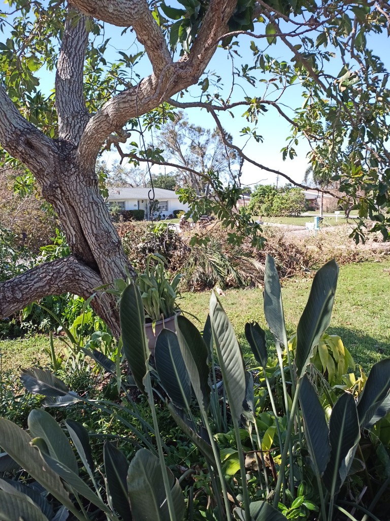 During Hurricane