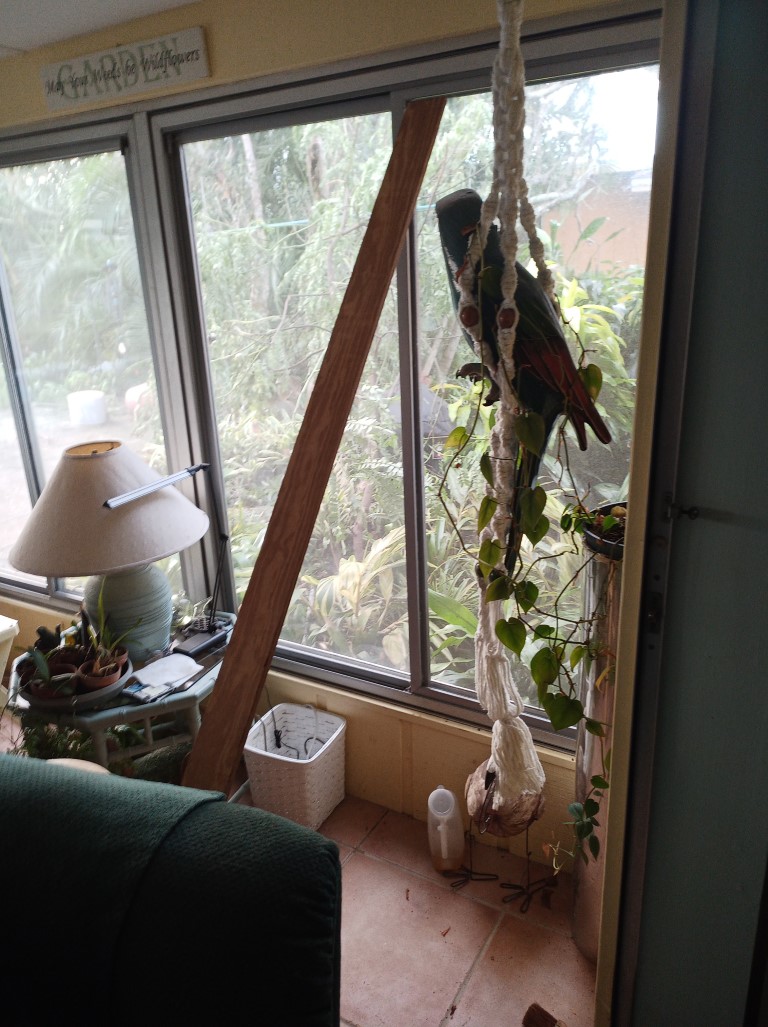 During Hurricane