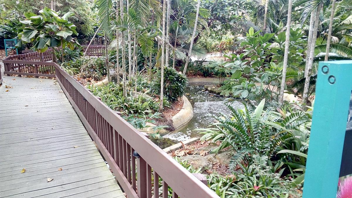 Miami Flamingo Gardens