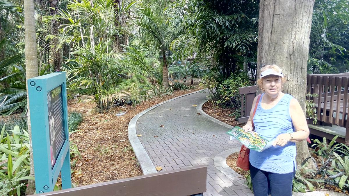 Miami Flamingo Gardens