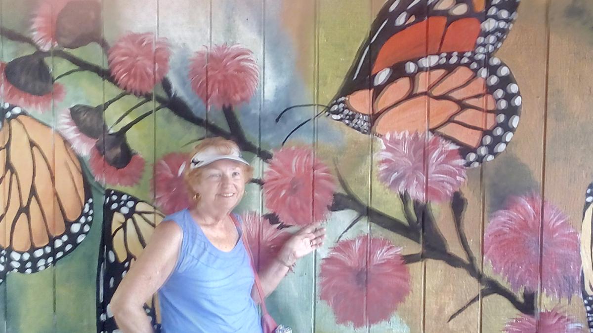 Miami Flamingo Gardens