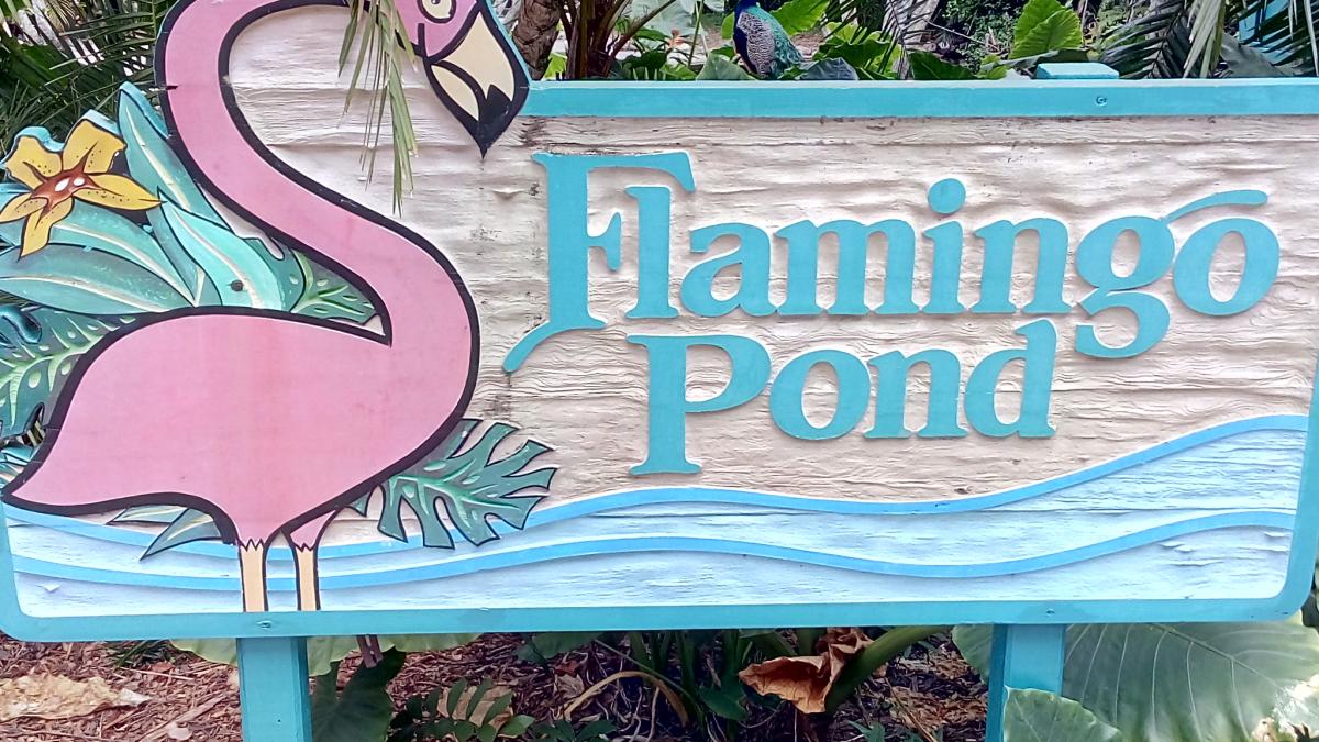 Miami Flamingo Gardens