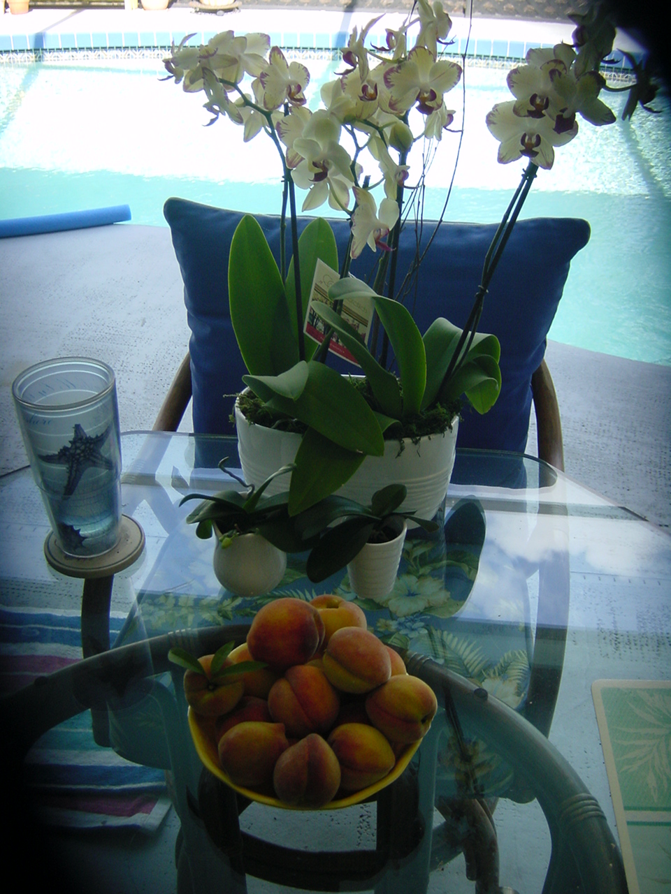 Fruits & Vegetables