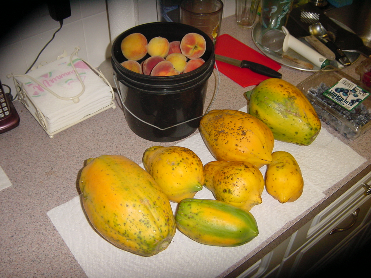 Fruits & Vegetables
