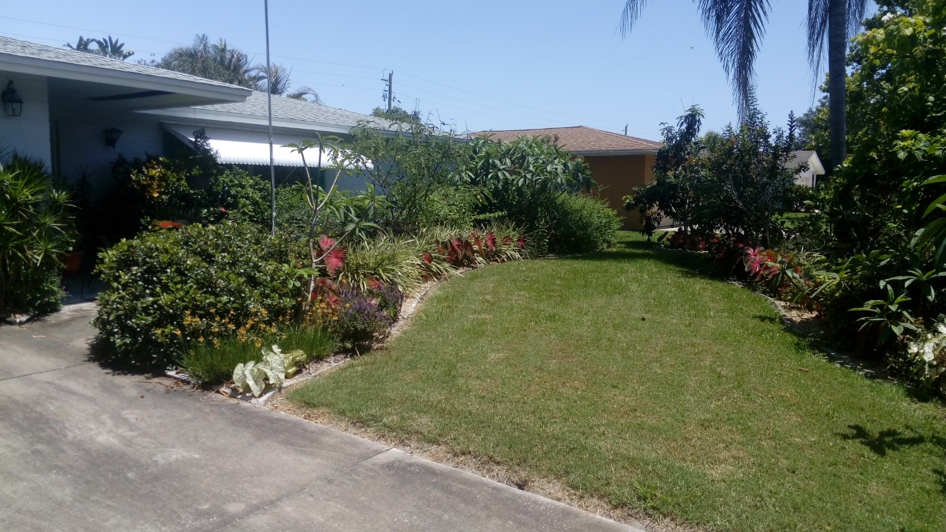Yard Photos