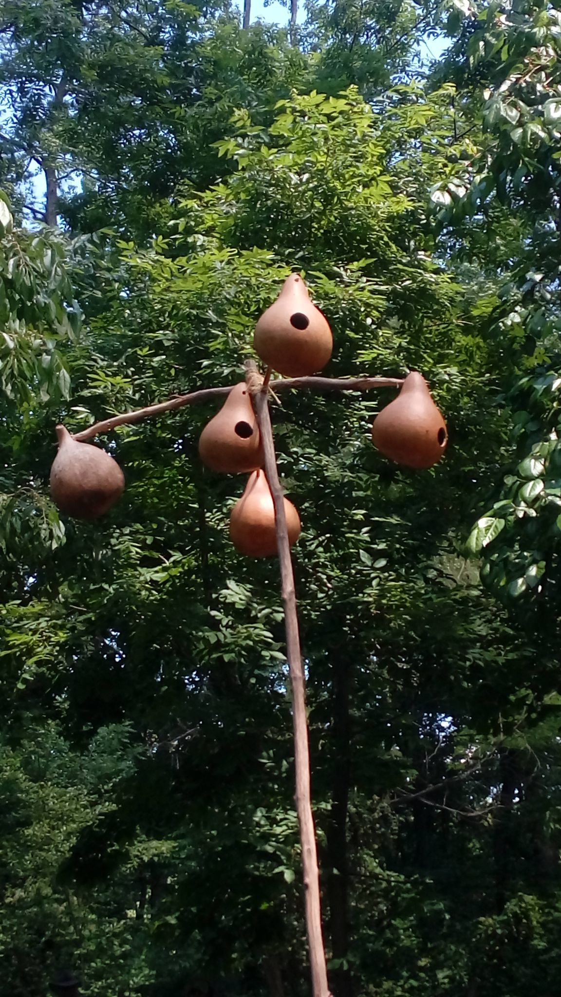 Jamestown Settlement