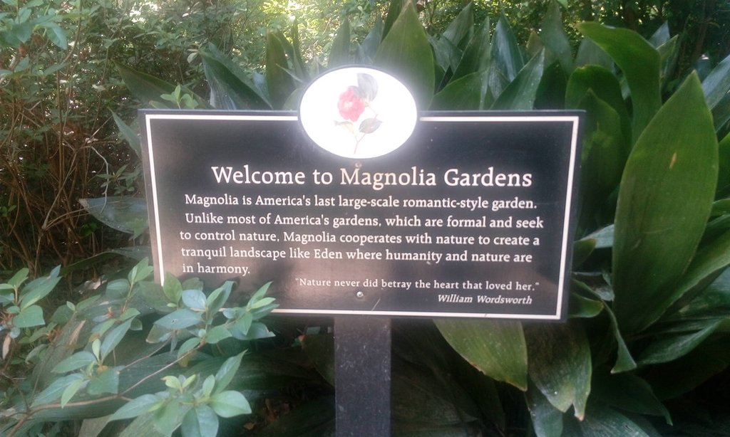 Magnolia Plantation