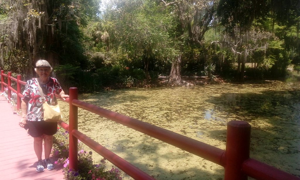 Magnolia Plantation