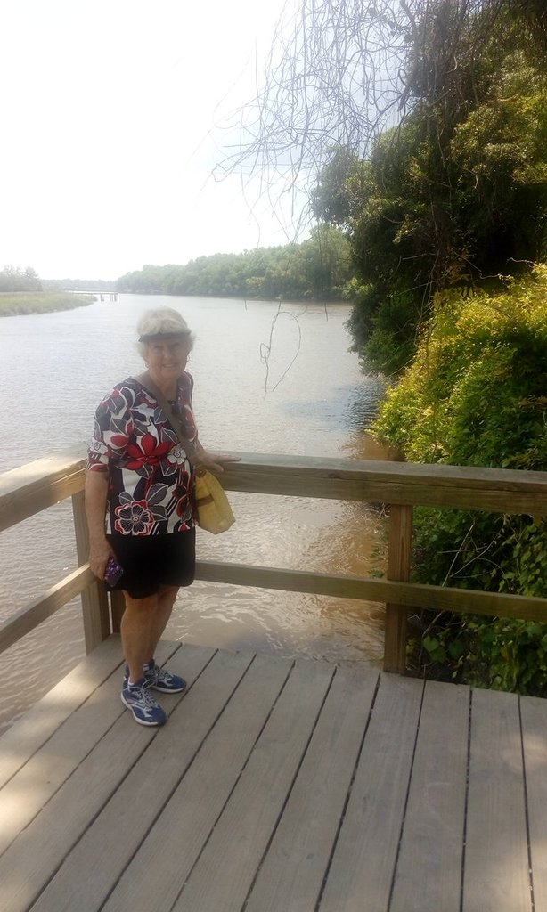 Magnolia Plantation
