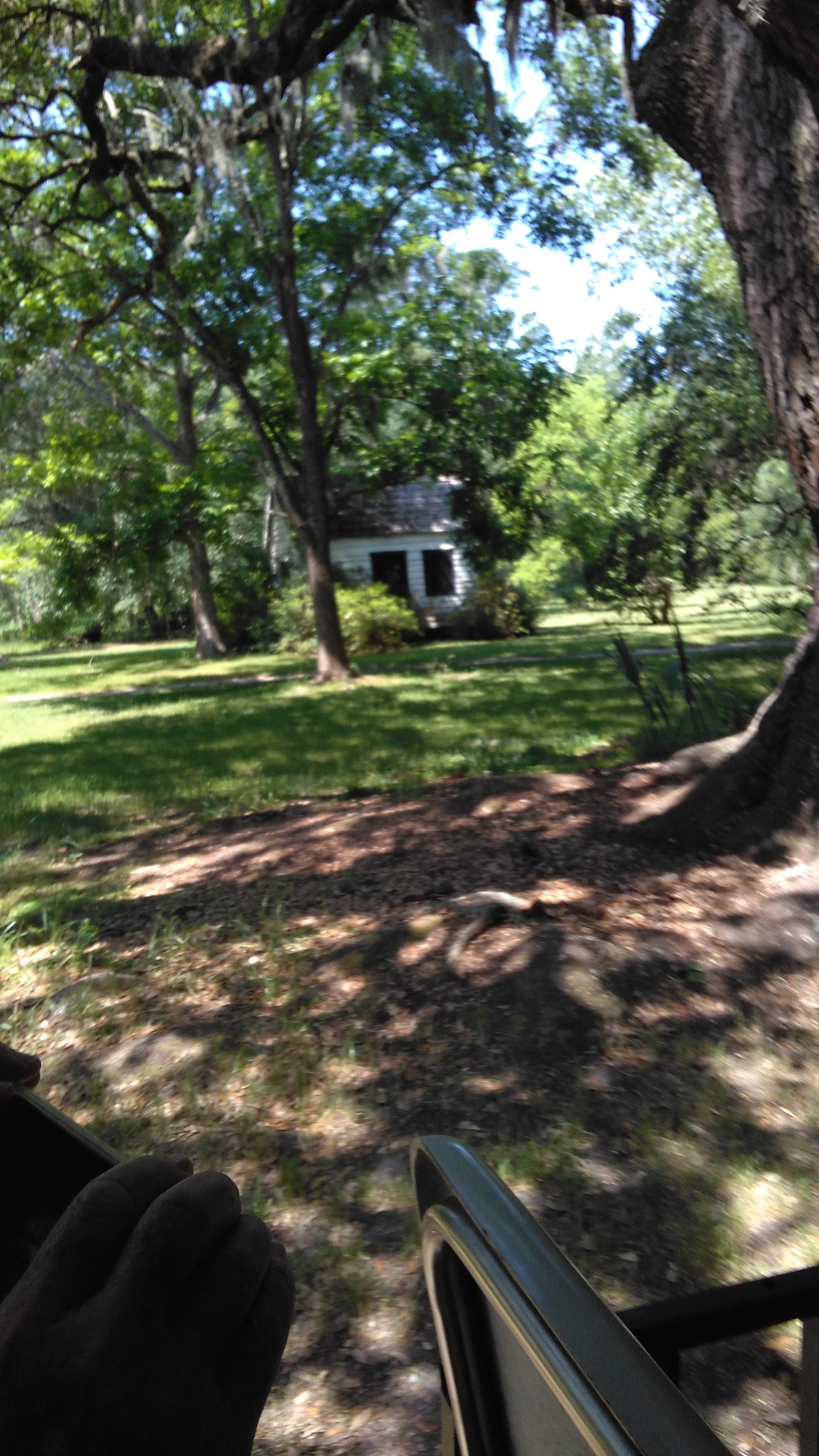 Magnolia Plantation