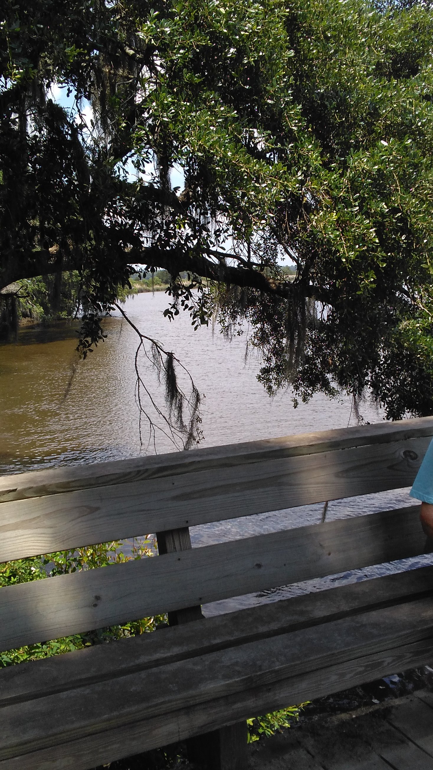Magnolia Plantation