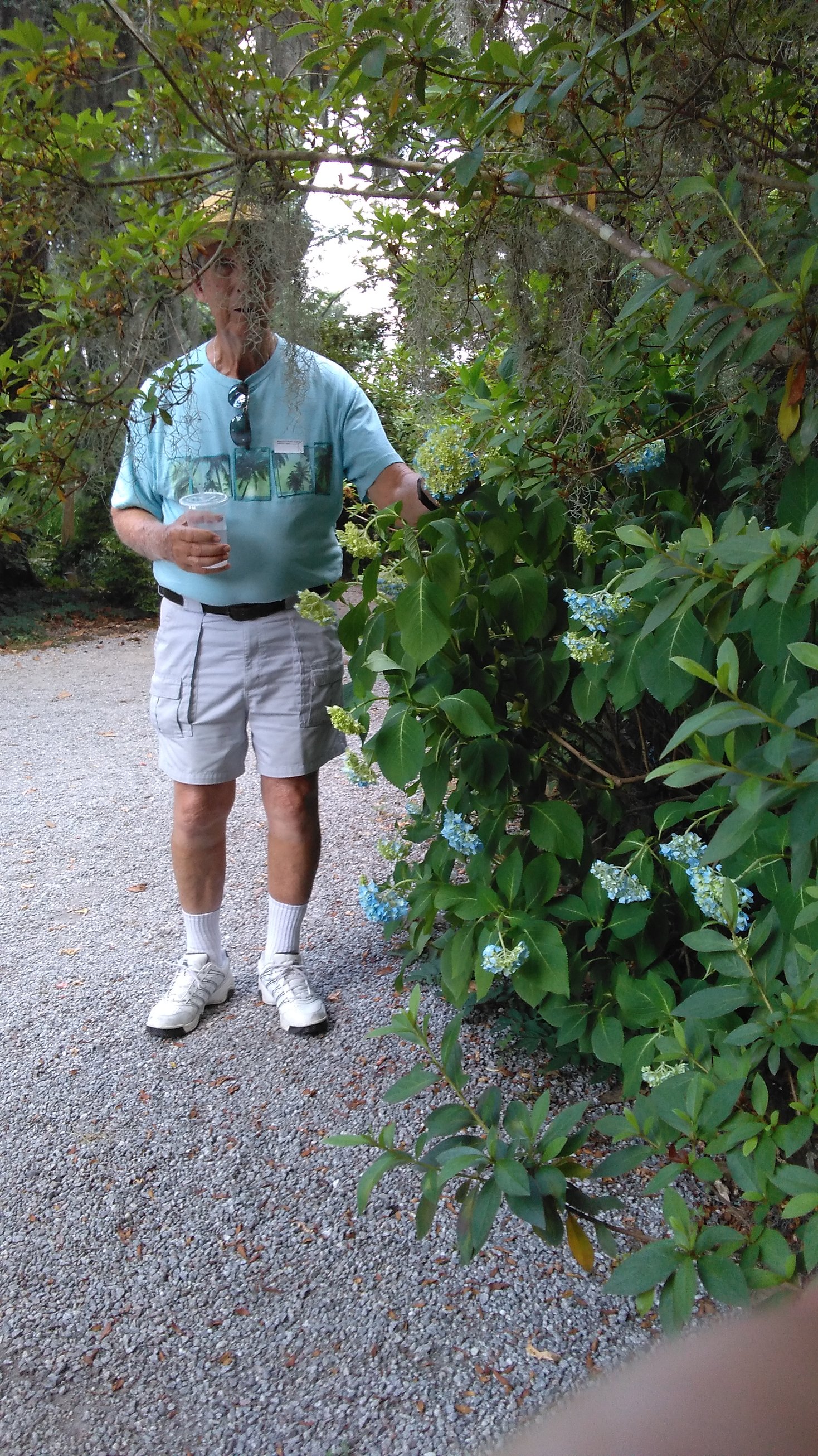 Magnolia Plantation