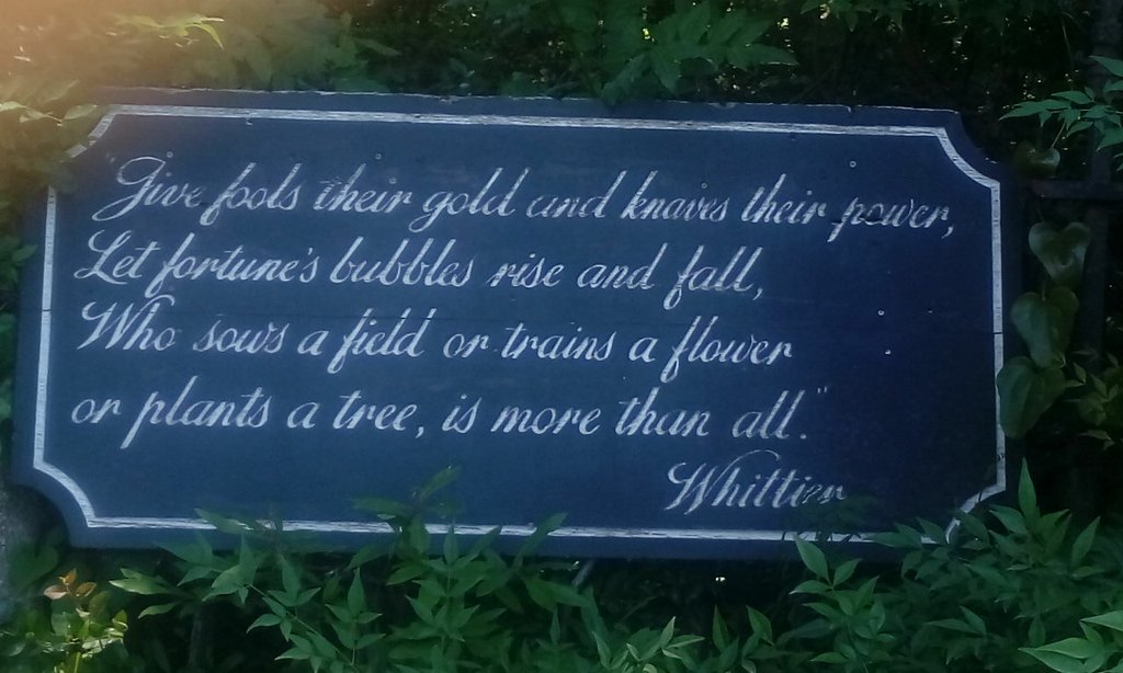 Magnolia Plantation