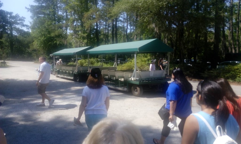 Magnolia Plantation
