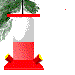 humming bird