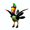 turkey