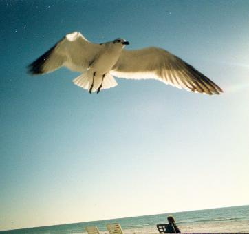photo1