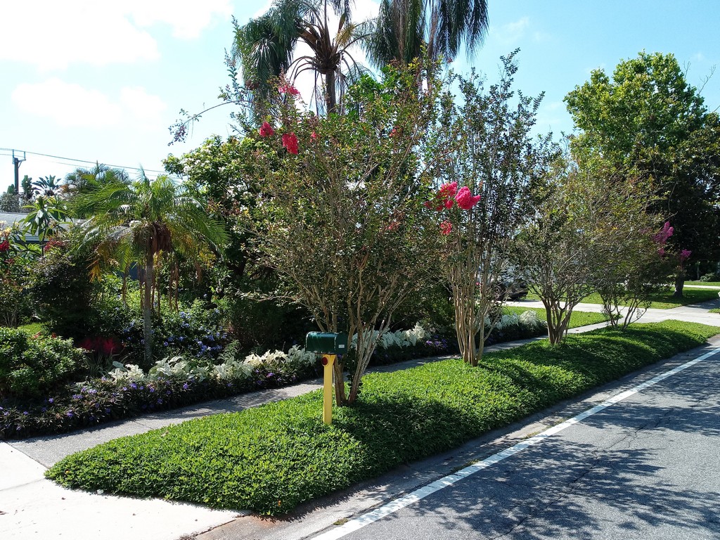 mulching